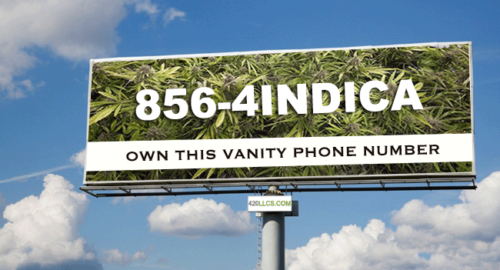 856-4INDICA