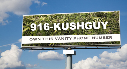 916-KUSHGUY